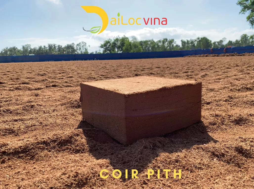 COIR PITH