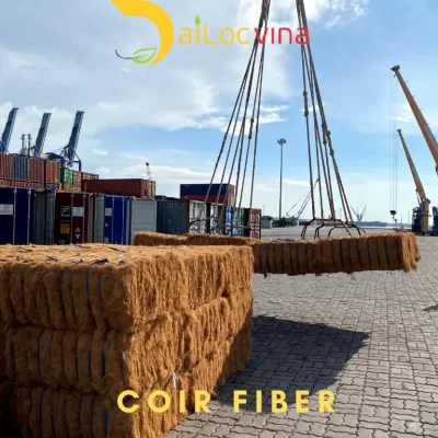 COIR FIBER