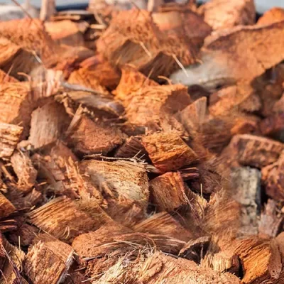 COCO HUSK CHIPS