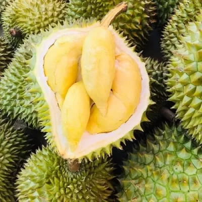 MONTHONG DURIAN