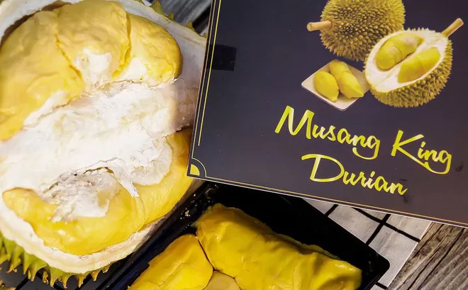MUSANG KING DURIAN
