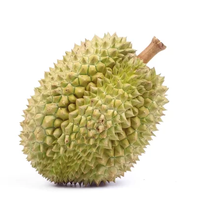 VIETNAM DURIAN