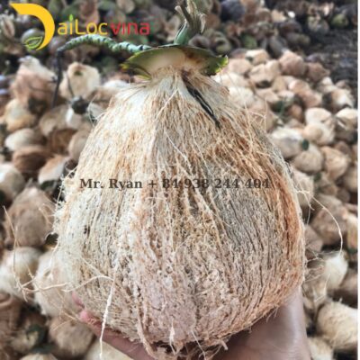 Vietnam dry coconut