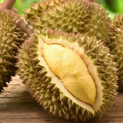 VIETNAM DURIAN