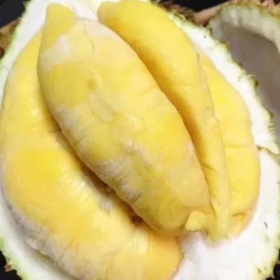 FROZEN DURIAN - MUSANG KING DURIAN