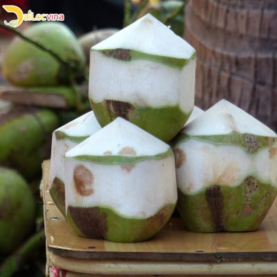 VIETNAM SEES MANY OPPORTUNITIES IN YOUNG COCONUTS EXPORTS TO US & CHINA