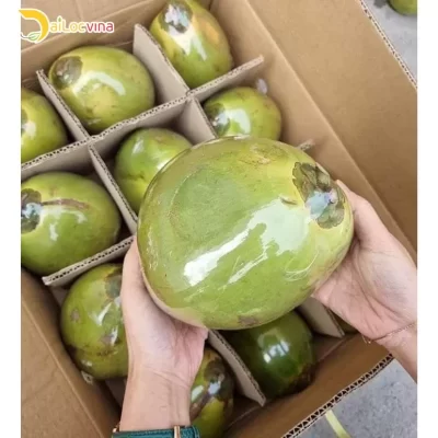 GREEN COCONUUT