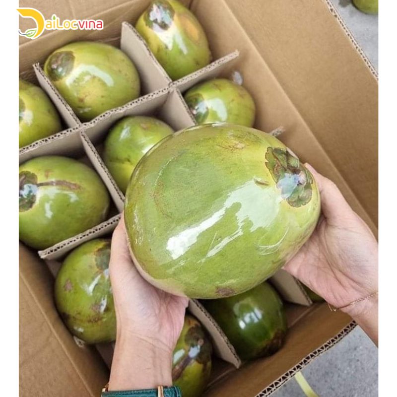 VIETNAM COCONUT EXPORTS WILL ARCHICE A VALUE OF 1 BILLION USD BY 2025
