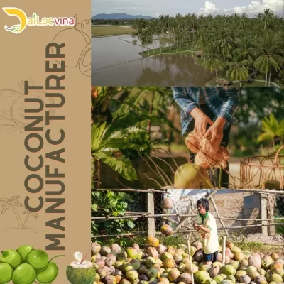 VIETNAM COCONUT INDUSTRY