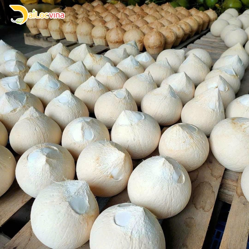 THE POSITIVE LOOK FOR VIETNAM COCONUT INDUSTRY IN THE GLOBAL 
MARKET