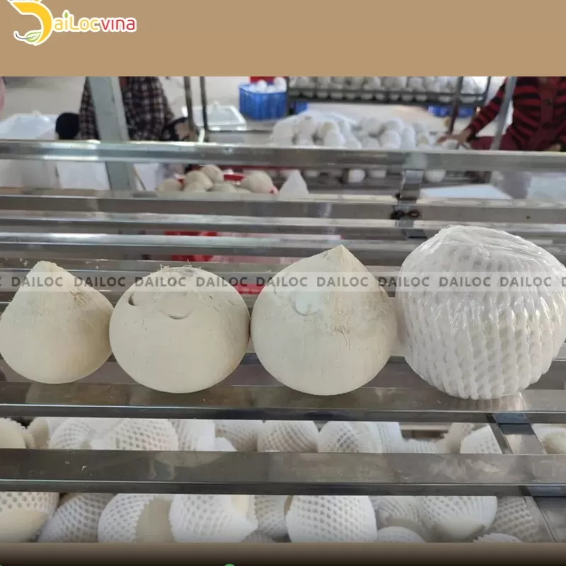 Vietnam’s fresh coconuts officially imported to US market