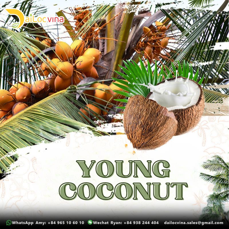 FRESH YOUNG COCONUT