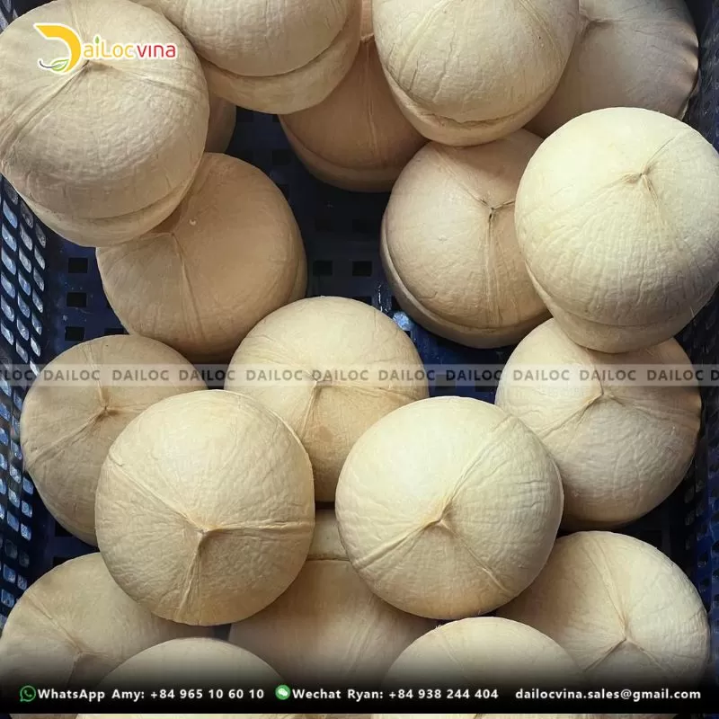 FRESH YOUNG COCONUT