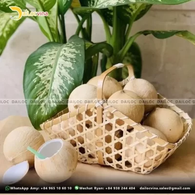 FRESH YOUNG COCONUT