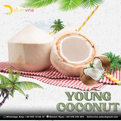 DIAMOND YOUNG COCONUT
