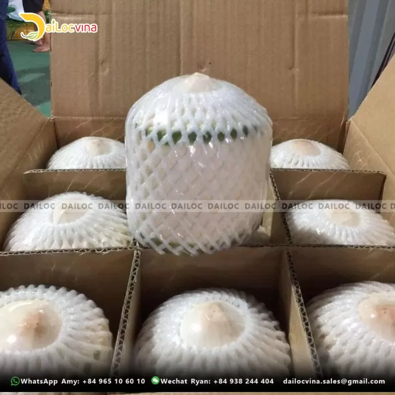 DIAMOND COCONUT