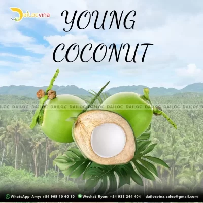 young coconut