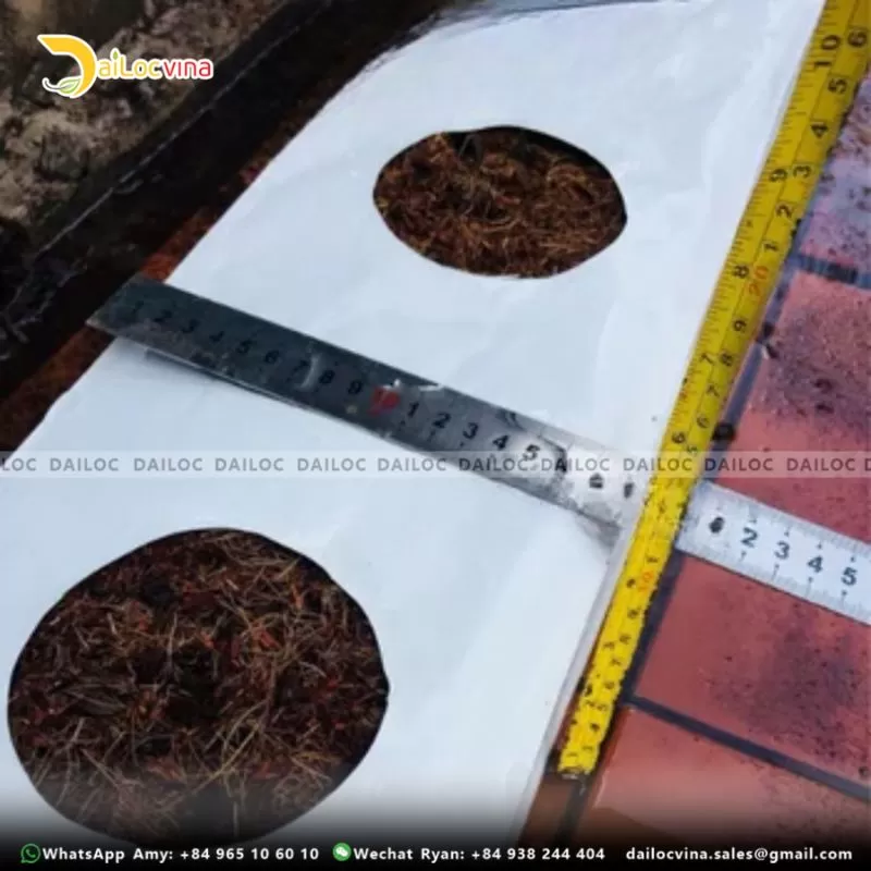 COCO PEAT GROW BAG SLABS