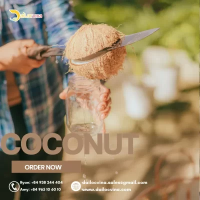 UPDATE VIETNAM PRICE