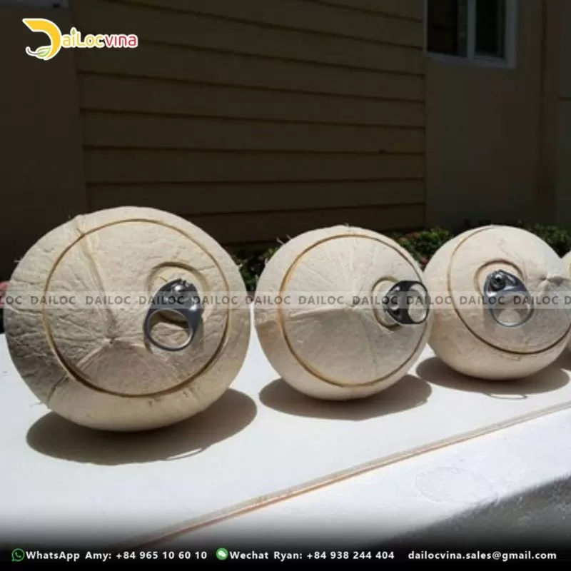 EASY OPEN COCONUT