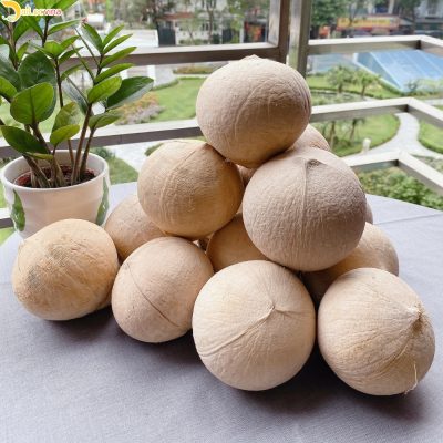 THE INTRODUCTION OF VIETNAMESE COCONUT WATER. HERE INFORMATION YOU SHOULD KNOW