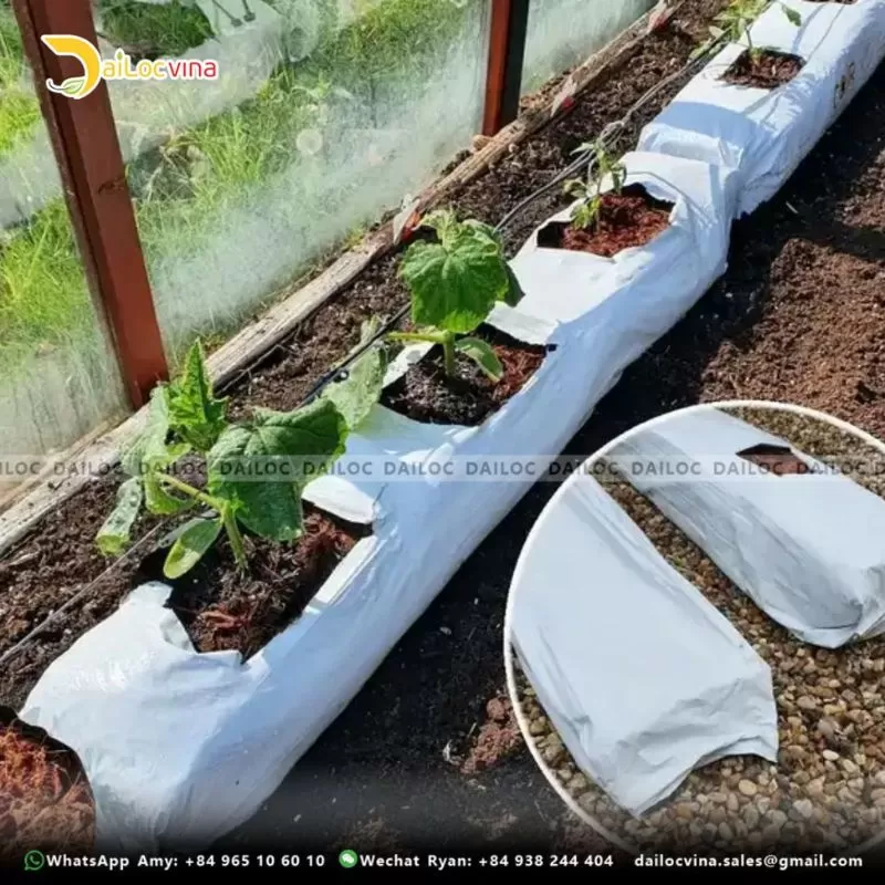 COCO PEAT GROW BAG SLABS