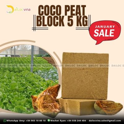 COCO PEAT BLOCK 5KG