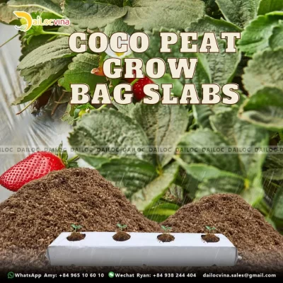 COCO PEAT GROW BAG SLABS