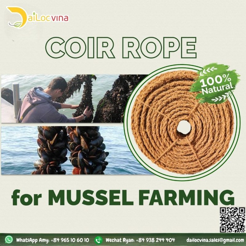 MUSSEL COIR ROPE