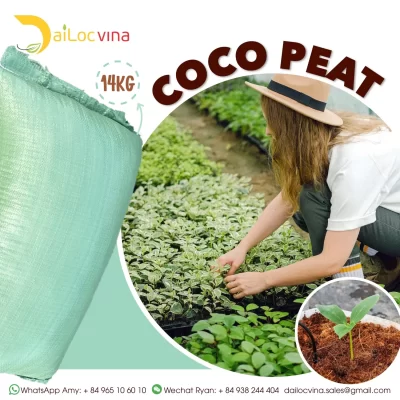 COCO PEAT BAG