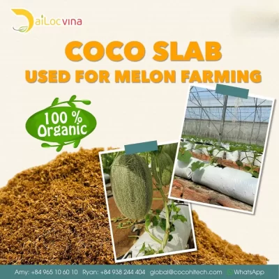 COCO COIR SLAB