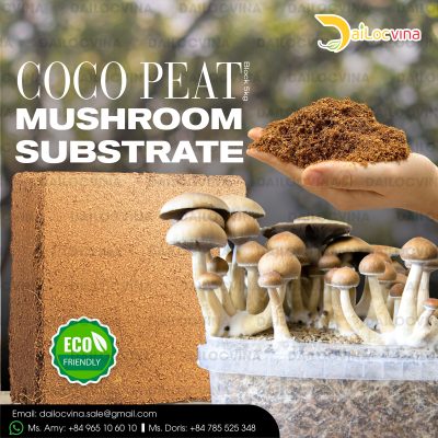 COCO COIR