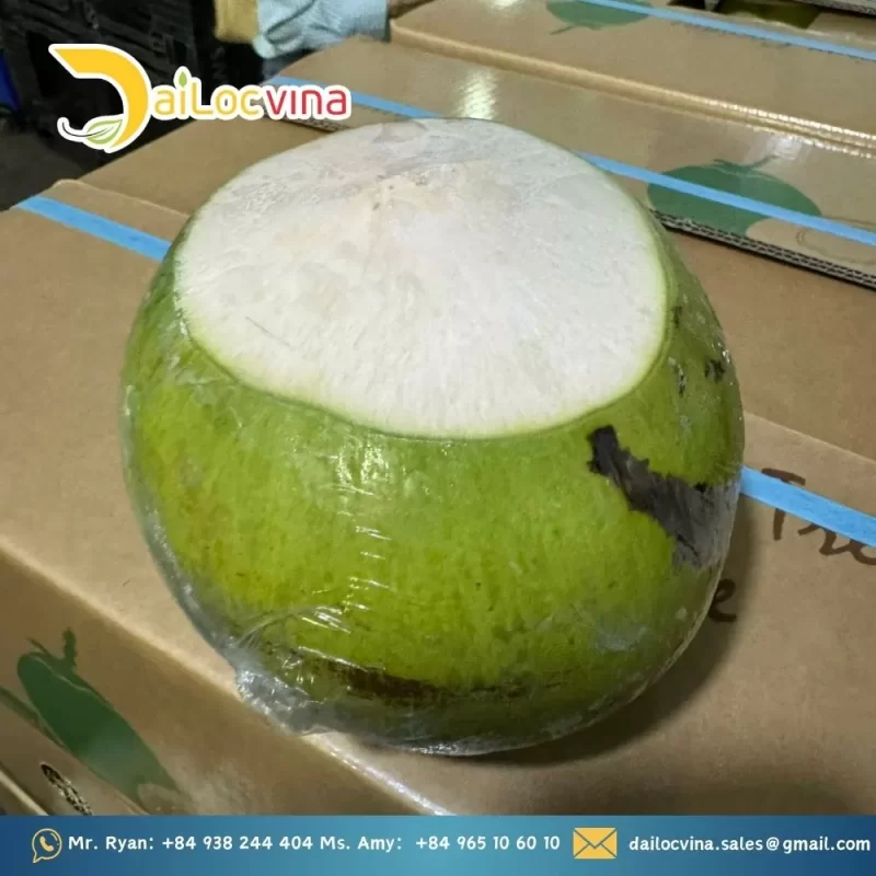PEELED TOP