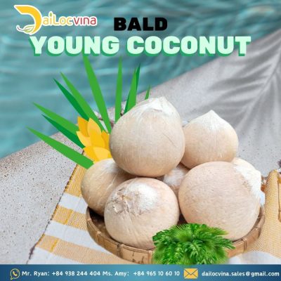 BALD COCONUT