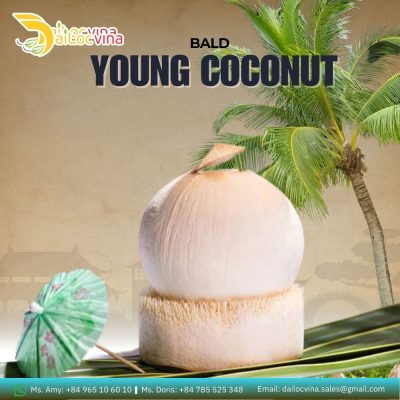 BALD YOUNG COCONUT