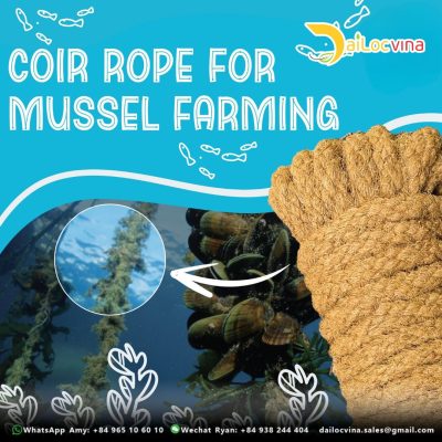 COCONUT COIR ROPE