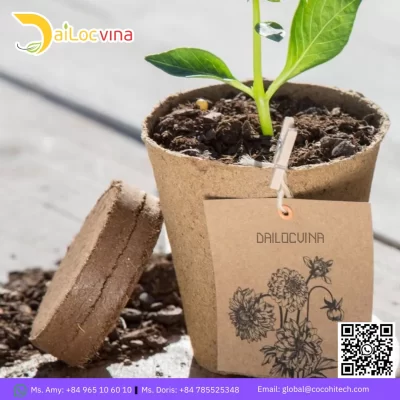 COCO PEAT DICS