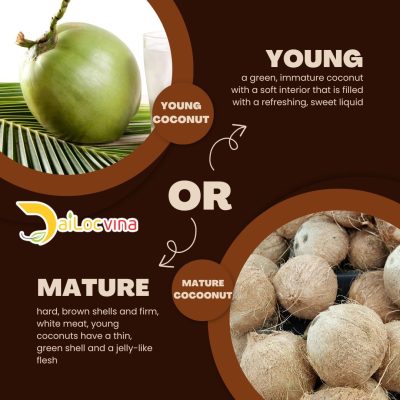 YOUNG COCONUT