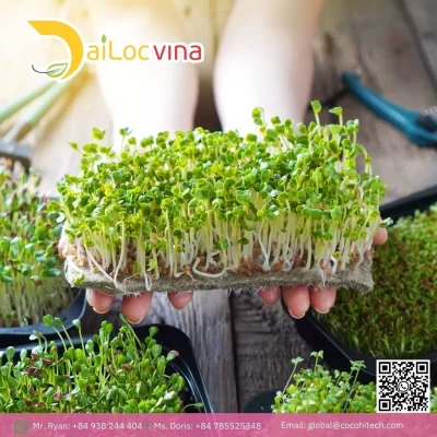 COCO GROW MAT