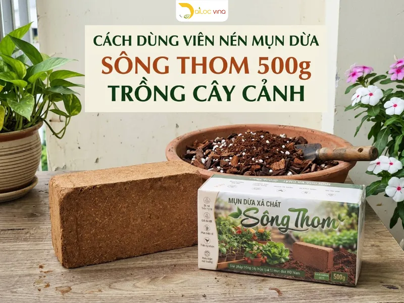 Cách Dùng Viên Nén Mụn Dừa Xả Chát Sông Thom 500g Trồng Cây Cảnh
