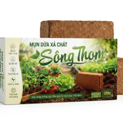 VIÊN NÉN MỤN DỪA SÔNG THOM 500G