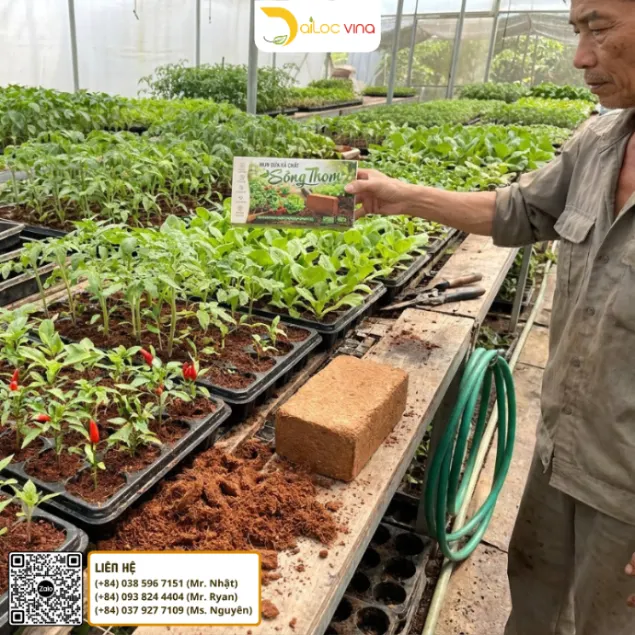 Mụn dừa Sông Thom đã xử lý được đánh tơi sau khi viên nén 500g hấp thu nước