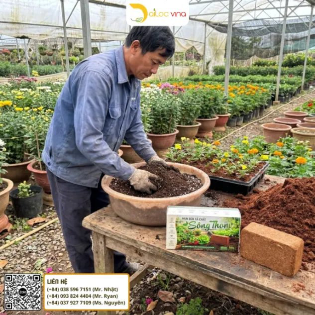Mụn dừa Sông Thom là gì và cách sử dụng viên nén mụn dừa xả chát 500g hiệu quả