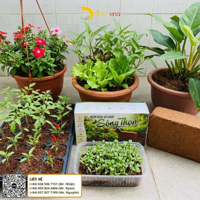Viên nén mụn dừa xả chát Sông Thom 500g dùng cho rau cây giống hoa và cây cảnh tại nhà