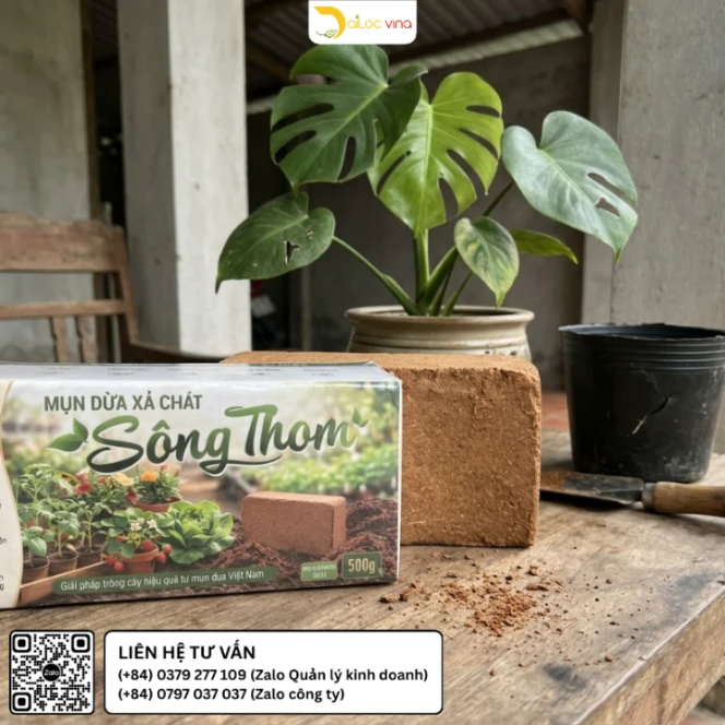 Viên nén xơ dừa Sông Thom 500g nhỏ gọn dùng cho cây cảnh trồng chậu tại nhà