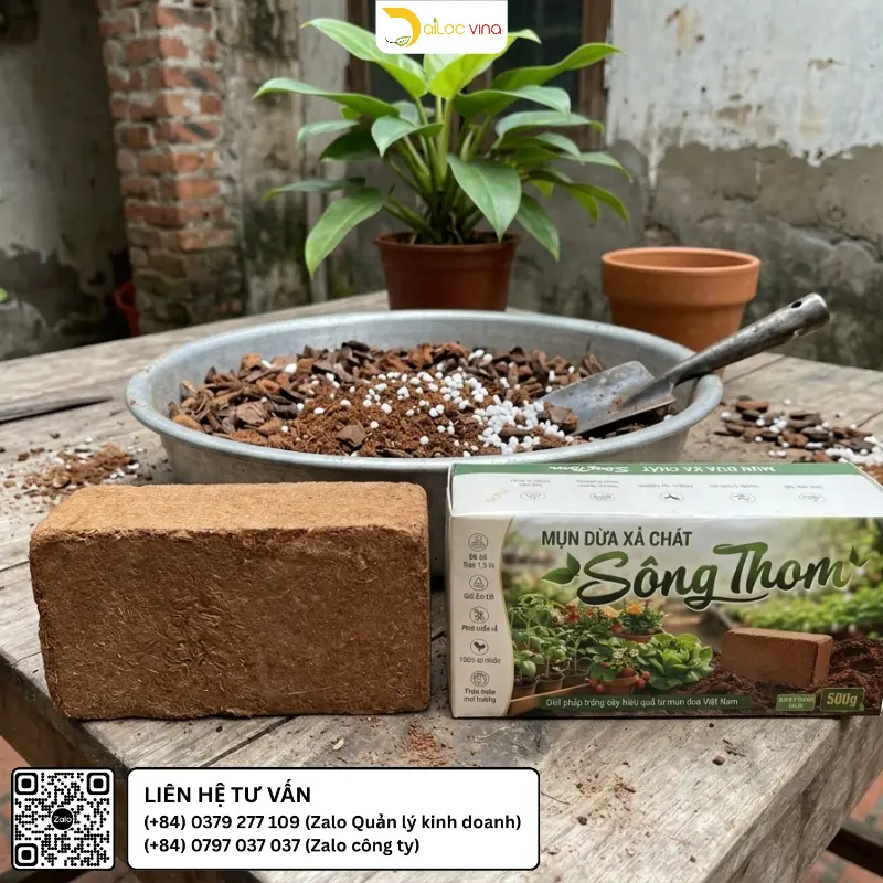 Mụn dừa Sông Thom phối trộn giá thể cho cây cảnh lá và cây trồng chậu tại nhà